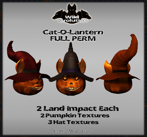 [Wild Evolution] - Cat-O-Lantern FULL PERM (Rez)