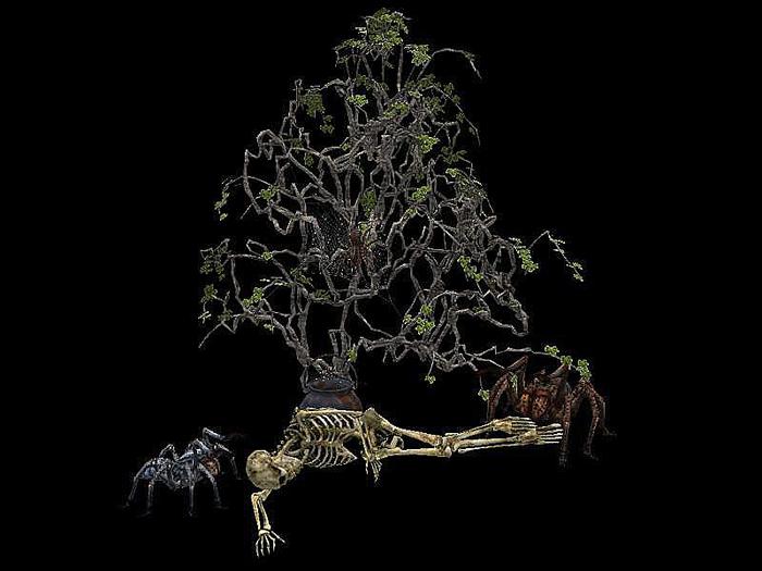 Spider ivy