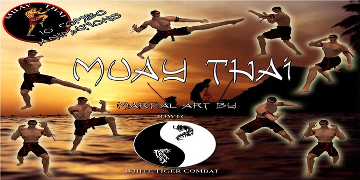 B3WTC Muay Thai -BOXED-