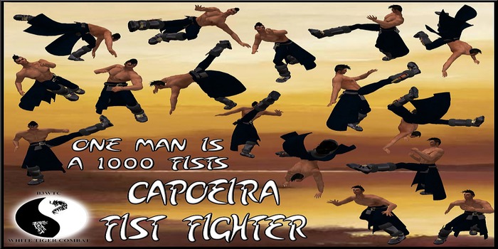 B3WTC Capoeira -BOXED-