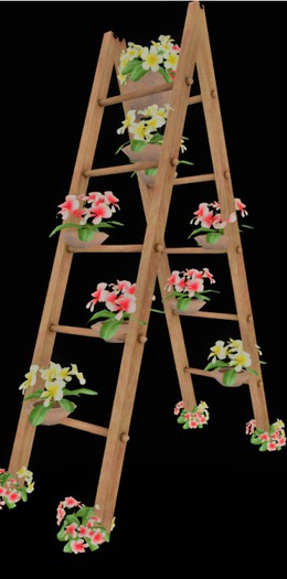 Ladder w/flowers