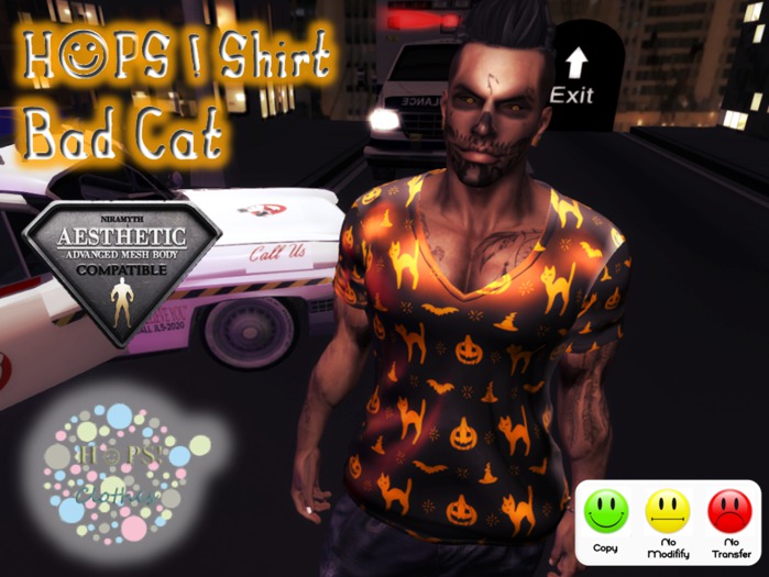 [HOPS!] Bad Cat Shirt@