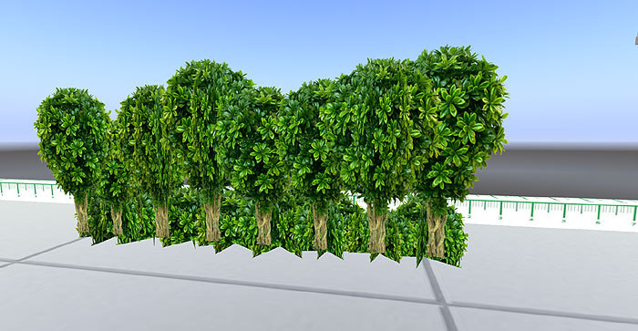 Decorative Tropical Trees&Bushes Lining