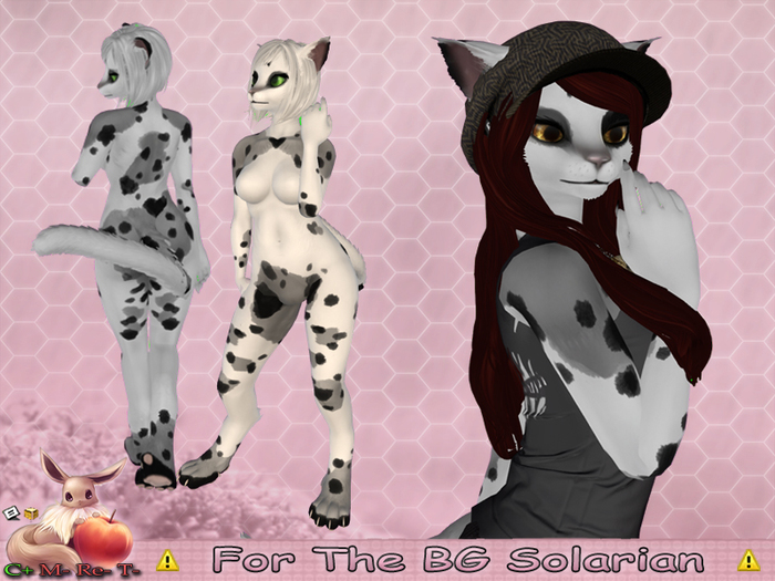 !N~N~P! Solarian Mod - Koi Grey *Hud Box*