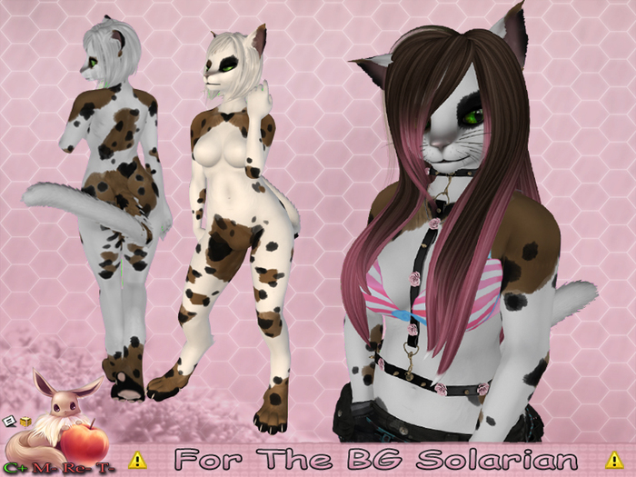 !N~N~P! Solarian Mod - Koi Brown *Hud Box*