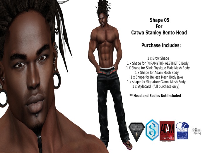 Shape 05 Stanley Catwa Bento Head (NIRAMYTH) - AESTHETIC