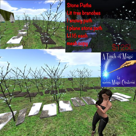 Lit stone Paths snowy & plane-crate