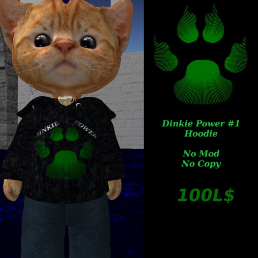 Dinkie Power Hoodie