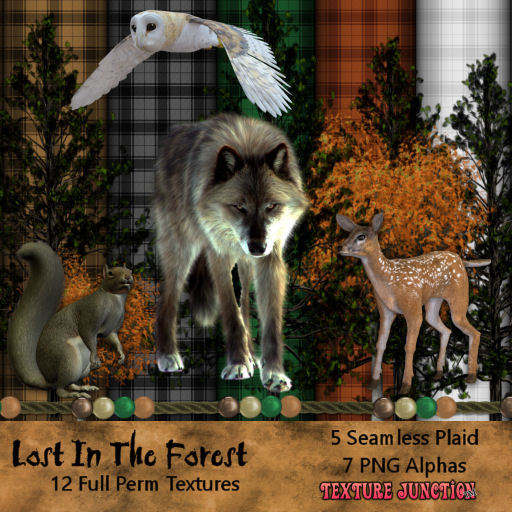 ~TJ~  Lost In The Forest Texture Set Fairy Tale
