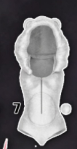 REIGN.- POLAR BEAR ONESIE (MAITREYA) #7