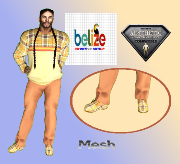Giving Fit - Aesthetic - Mesh