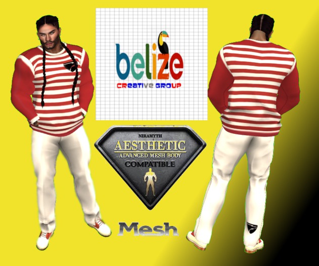 Eagle Outfit - aesthetic - Mesh