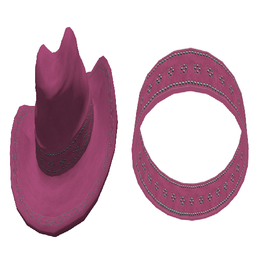 Pink Cowboy Hat & Collar set