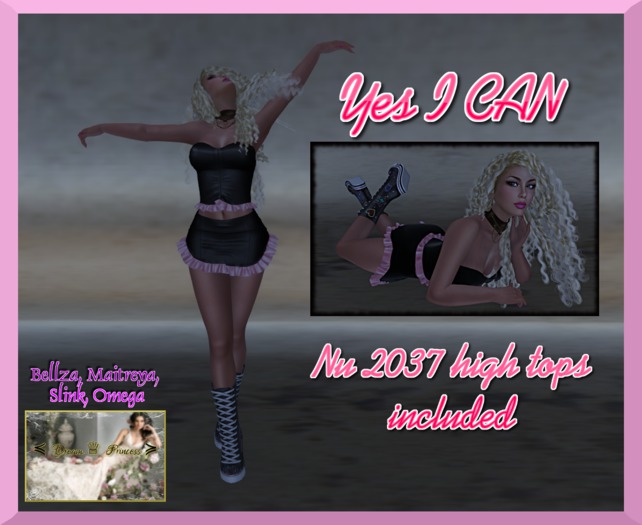 !*Dream Princess*! Yes I CAN  (box)