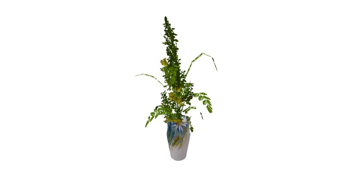 fiori gialli in vaso