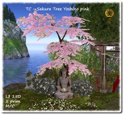 TC - Sakura Tree Yoshino pink
