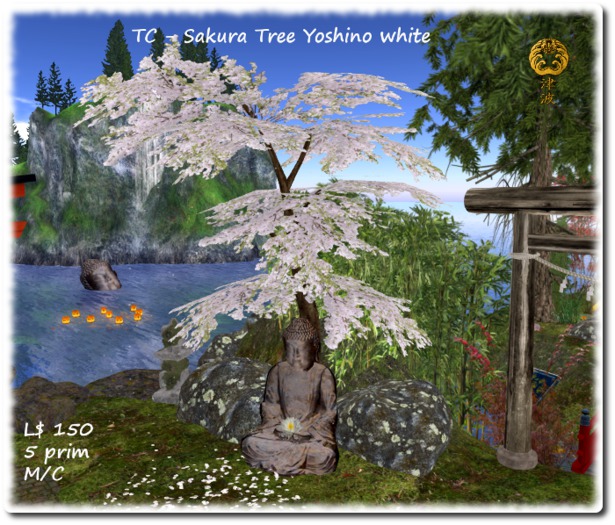 TC - Sakura Tree Yoshino white