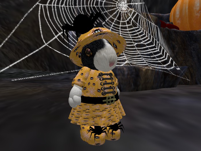 tiny Halloween Spider Dress