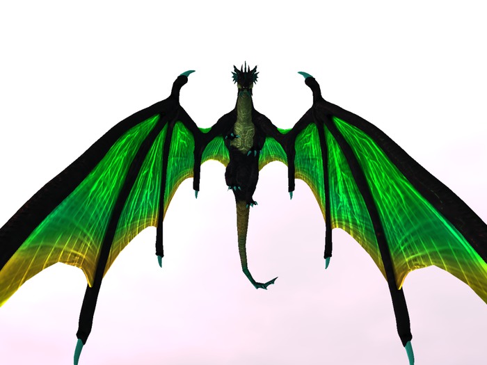 THE AURORA DRAGON