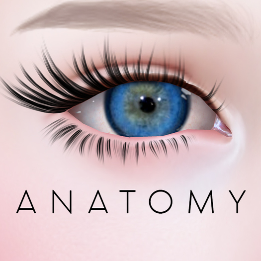 ANATOMY - Circle Lens - Dark Blue