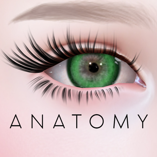 ANATOMY -  Circle Lens - Green