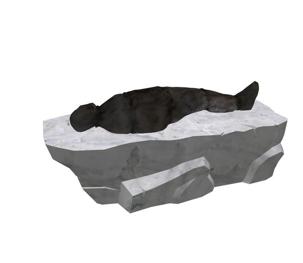 Mummified Body on Rock #1