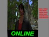 Snapshot 002
