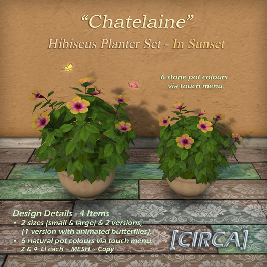 [CIRCA] Pkg - "Chatelaine" - Hibiscus Planter Set - In Sunset