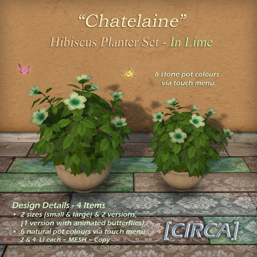 [CIRCA] Pkg - "Chatelaine" - Hibiscus Planter Set - In Lime