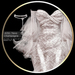 %28vendor%29 azul yeva champagne