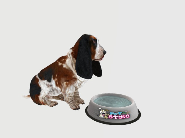 Dog With Water Bowl :))