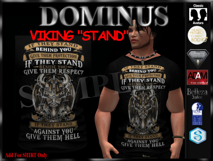 ~DOMINUS~(VIKING) Stand TSHIRT (BOXED)