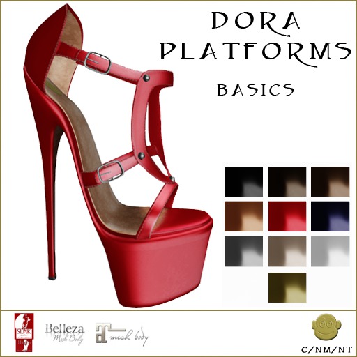 BM Dora Platforms Basics DEMO