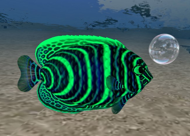 (7S) UltraRare Fish: Shift Juv Emperor