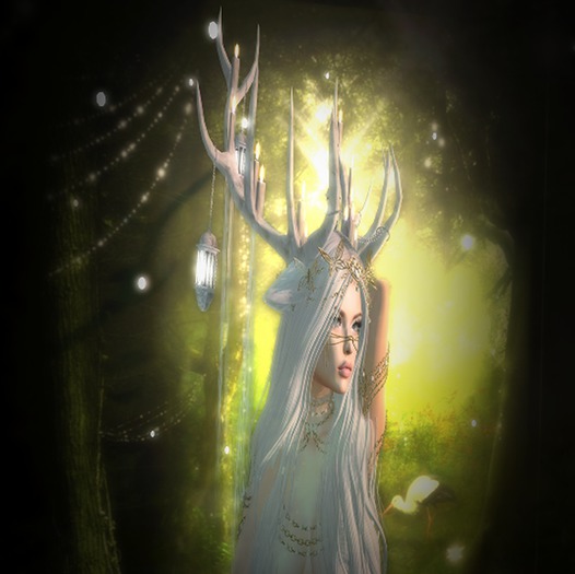 Lighted Winter Antlers By Freya