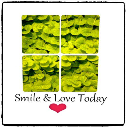 **RG_ Green Clovers _ 4SQ Frame _Boxed