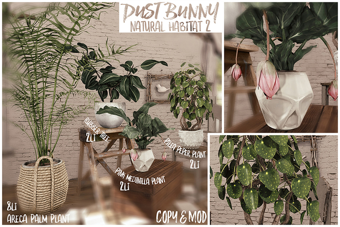 dust bunny . natural habitat 2 . fatpack