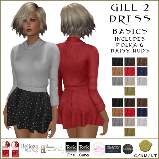 BM Gill 2 Dress Basics