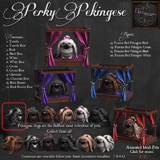 2. *HEXtraordinary* Perky Pekingese - Tuxedo Bow