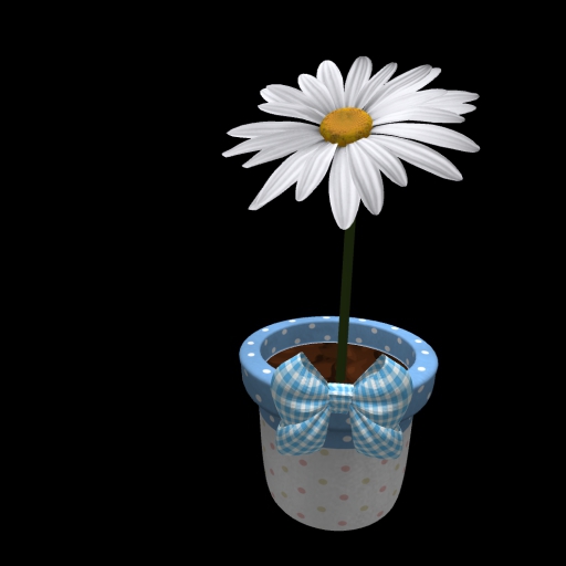 Daisy white