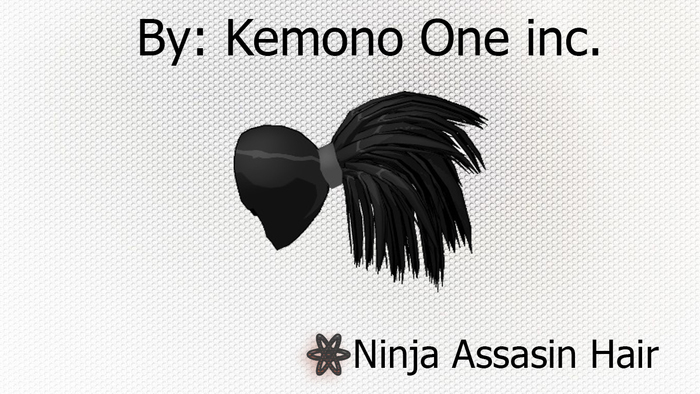 Clumsy Assasin Hair
