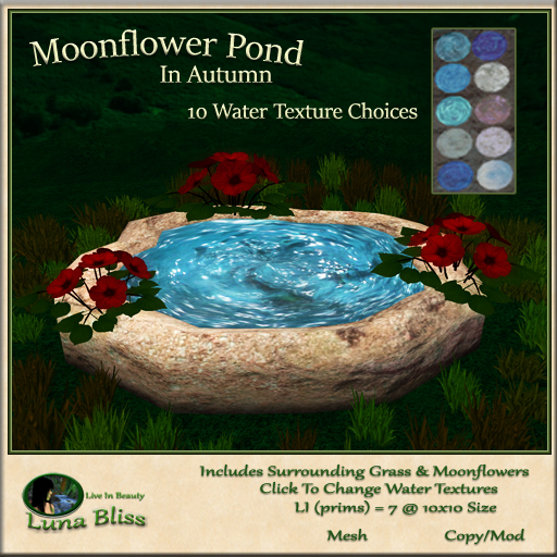 Moonflower Pond In Autumn
