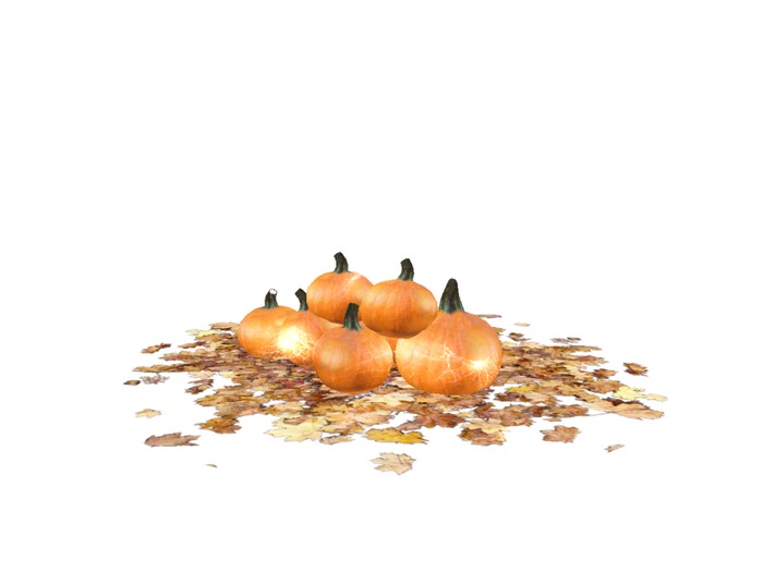 Pumpkins and Leaves