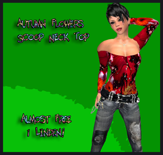 Autumn Scoop Neck Top