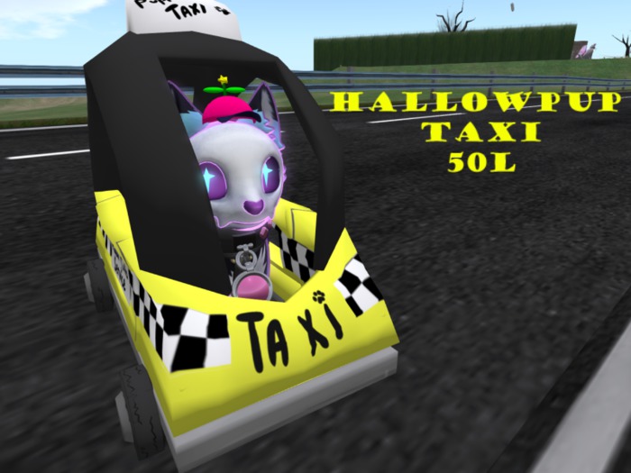 Pupper taxi