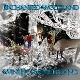 Enchanted Winter Wonderland Forest 
