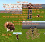 Turkey Treasure Hunt Game Pay collision 24h sellf-delete (boxed