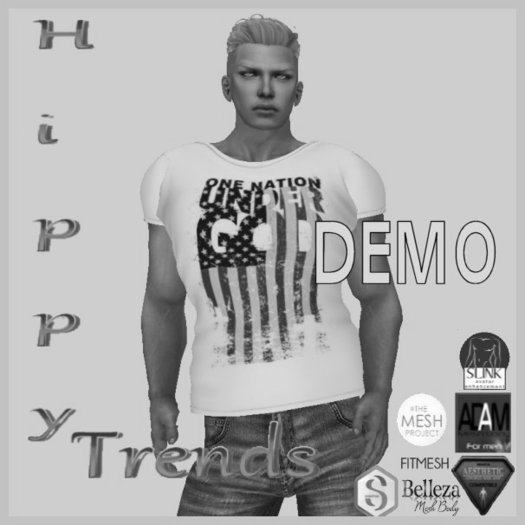 {HT} Mens T-Shirt Demo