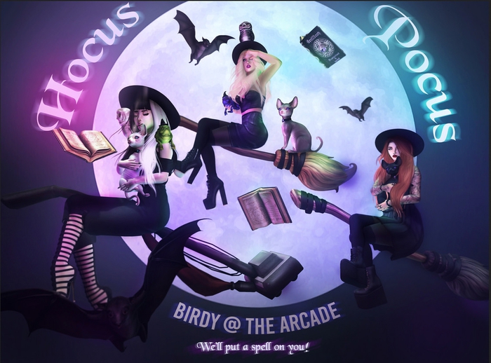 Birdy - Hocus Pocus - Owlie - Snow [box]