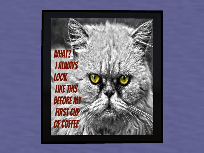 First Cup Of Coffee Gift Plaque